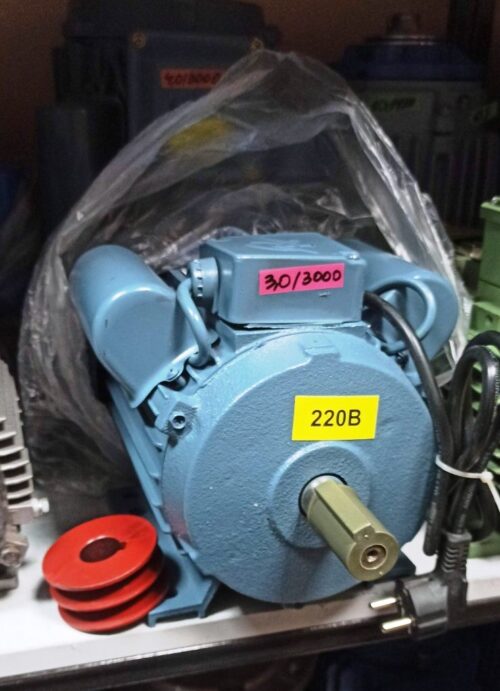 Однофазний електродвигун YL100L-2 3,0/3000 (Л)