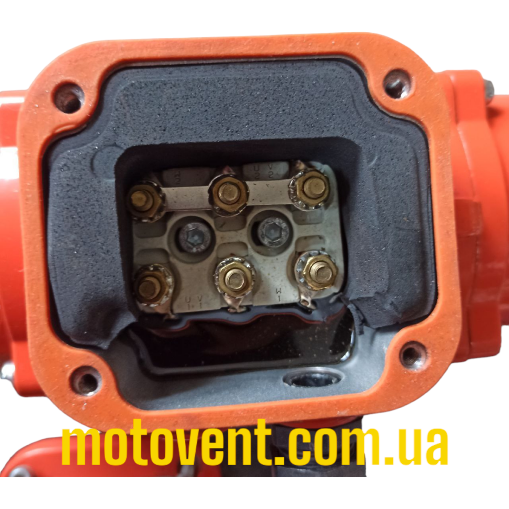 Фото об'єкта oli-mve_60-3-1024x1024